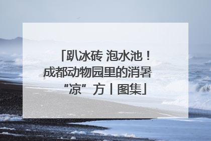 趴冰砖 泡水池！成都动物园里的消暑“凉”方丨图集